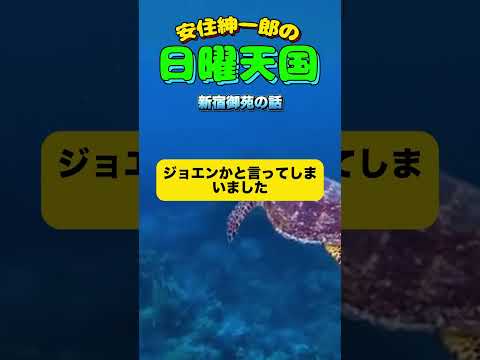 焼肉屋さんの話🤣#安住紳一郎の日曜天国 #日曜天国 #すべらない話