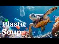 Impact of Plastic Pollution
