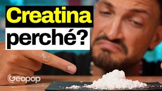 A cosa serve davvero la creatina? Ecco i dati dell’EFSA