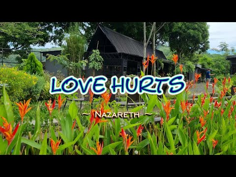 Love Hurts – KARAOKE VERSION – as popularized by Nazareth