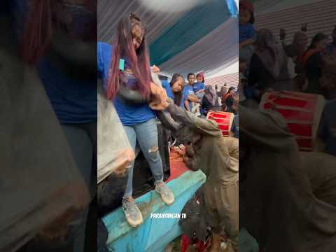 Cewek Baju Biru Kena Terpojok Sama Kuda Lumping!!! Seni Benjang Makar Pusaka Wangi