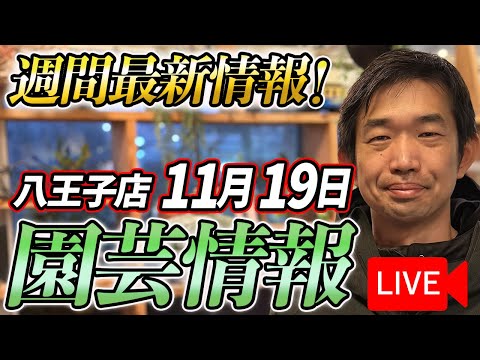 【最新情報】11月19日 グリーンギャラリーガーデンズ入荷情報を一挙公開！【特別版】