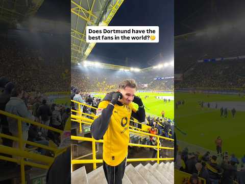 BEST FANS IN THE WORLD?🤔😱