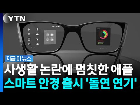 메타 따라잡으려던 애플, 스마트 안경 출시 연기한 '뜻밖의 난관' [지금이뉴스] / YTN