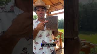 Pro finish for pennies