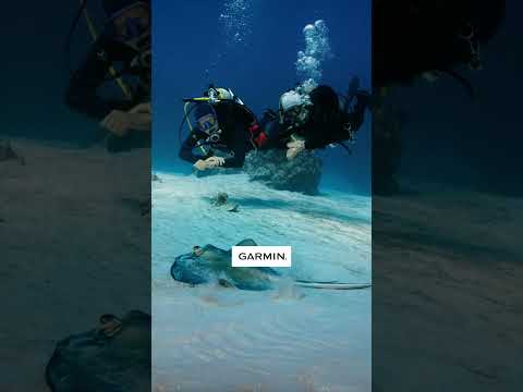 Garmin | Descent™ X30 | Ordinateur de plongée ultra lisible