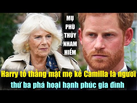 Hoàng Tử Harry Tố Thẳng Mặt Mẹ Kế Camilla Là Người Thứ Ba "NHAM HIỂM"Phá Hoại Hạnh Phúc Gia Đình