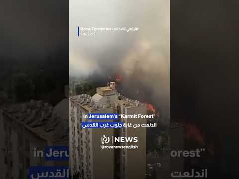 Brush fire rages near Jerusalem’s Ain Karem
