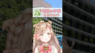 【秋田あるある】納豆に砂糖入れるって本当！？ #秋田 #秋田県 #秋田県民あるある #vtuber