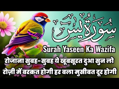 Surah Yaseen For Barkat Ki Dua🤲 सुबह सुबह दुकान मकान में चलाएं | Rozi Ki Dua 🤲Morning Wazifa |EP-090