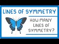 Symmetry in Shapes and Lines