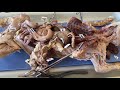 Anatomy of the Digestive System