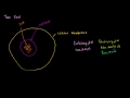 Cell Structure and Function Concepts