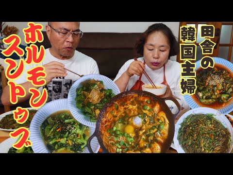 【モッパン/먹방】田舎の韓国人主婦が作るホルモンスントゥブとネギチヂミで幸せお昼ご飯♪【ホルモンスントゥブ/순두부찌개 】【ネギチヂミ】【きゅうりのピリ辛ナムル】【しし唐のおでん炒め】【小松菜ナムル】