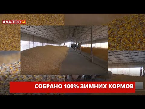 Собрано 100% зимних кормов