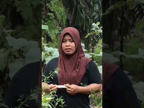 kumpulan video lucu #komedi #komedilucu