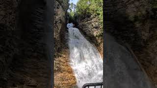 Margaret Falls Hike    #youtubeshorts  #rambleon #hiking #outdoors #kamloopstrails  #shuswap