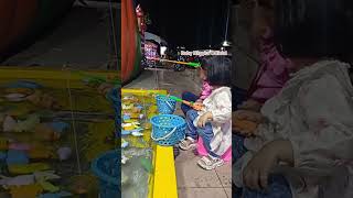 Mancing Ikan Hias di Kolam, Ikan Cupang, Ikan  Koi, Ikan Mas