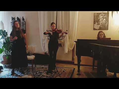 Duo violino & pianoforte 