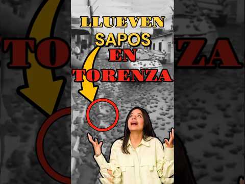 Lluvia DE SAPOS #torensa #torenza #mujerdetrenza #curiosidades #datoscuriosos #sabiasque