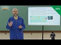 Transnational Companies and Globalization