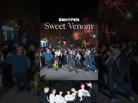 [KPOP IN PUBLIC] ENHYPEN (엔하이픈) 'Sweet Venom' | Random play dance #shorts