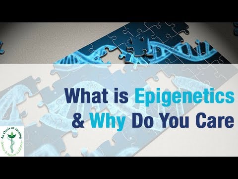 Example Of Epigenetics