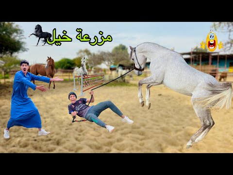 لما ابوك يفلس ويبيع مزرعة الخيل بسبب اخوك الصغير 🐎😂| علاء حسين