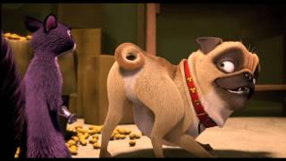 The Nut Job - Precious the Pug