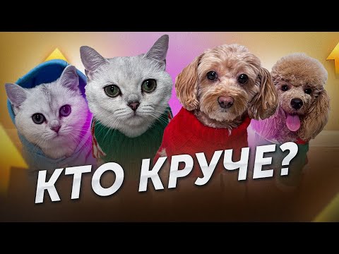 КТО КРУЧЕ СНИМАЕТ ВИДЕО?