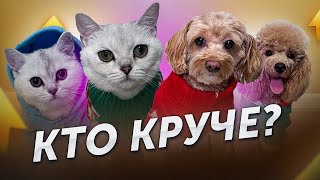 КТО КРУЧЕ СНИМАЕТ ВИДЕО?
