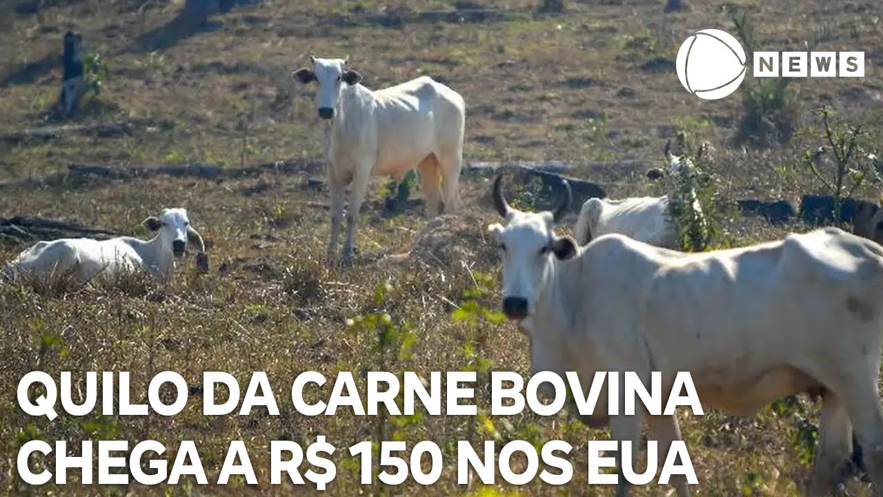 Quilo da carne bovina chega a R$ 150 nos Estados Unidos