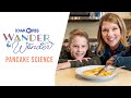 Pancake Science and Cooking Techniques