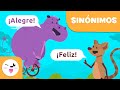 Sinónimos y su Importancia en la Escritura