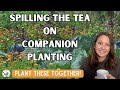 Gardening Techniques and Benefits