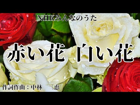 【カラオケ】赤い花 白い花 / 芹 洋子 【高音質 練習用】