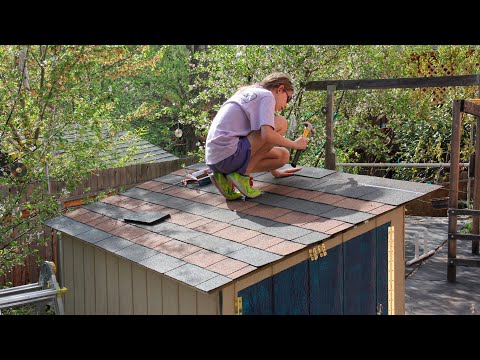Planting Hedge and Moving Chicken Coop