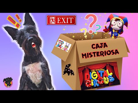 ¡CAJA MISTERIOSA! The Amazing Digital Circus! 🤡 Lana