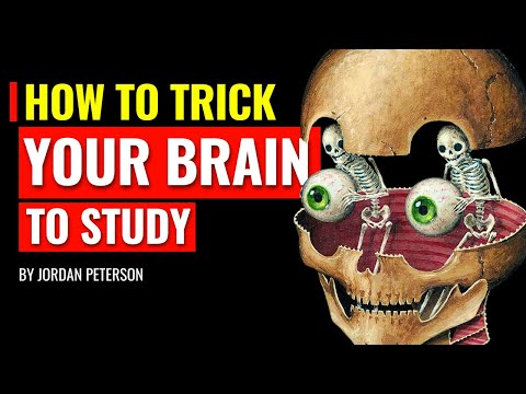 How To Trick Your Brain Into Enjoying Studying - Jordan Peterson