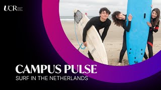 Campus Pulse #3 - Surf in the Netherlands