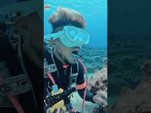 أغرب دكتور أسنان في العالم... بيشتغل تحت الميه! 😱🐟