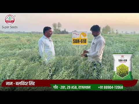 खेत की पहचान, किसान का अभिमान - Super Seeds 618 सरसों महान!