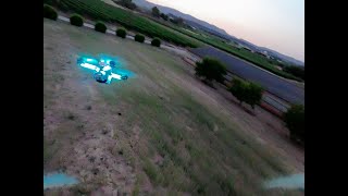 Little chase over the garden with @bladebreakerfpv2749