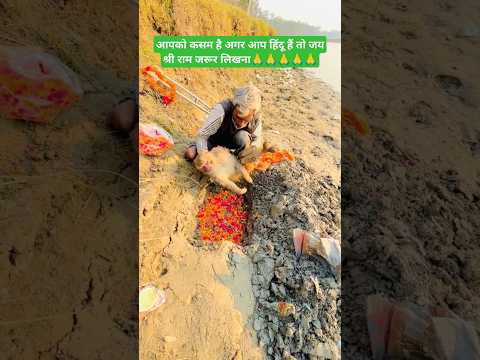 महाकुंभ से बड़ा धर्म🙏🙏🙏🙏 जय बजरंगबली #ytshorts #shorts #monkey #animals