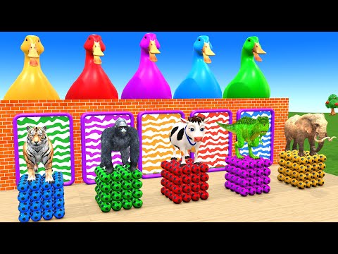 Long Slide Game With Cow Elephant Gorilla Hippopotamus Tiger 3d Animal Game Funny 3d Animals