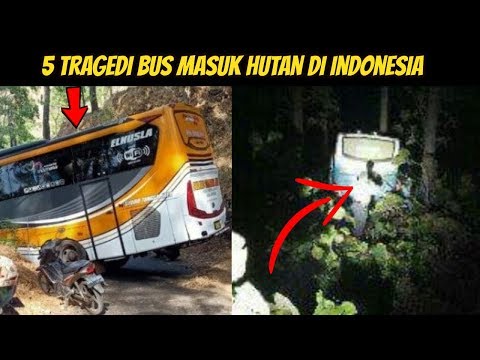 5 BUS Nyasar Masuk Hutan di Indonesia