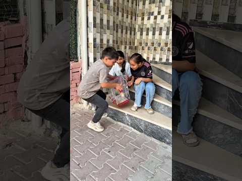 Kuşun sahibi kim Hasan Sönmez yeni video #shortsvideo #sorts