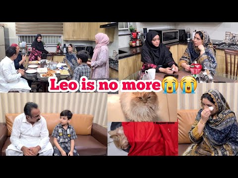 Leo is no more😭😭/Allah pak hum sab ko sabar dey/Baji fakhra se milne gey