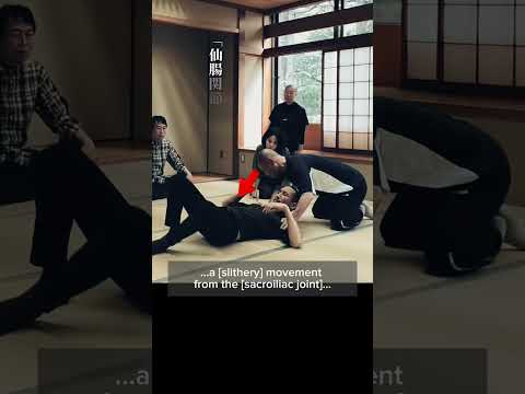 仙腸関節の動きで寝返り　#合気道#aikido #合気