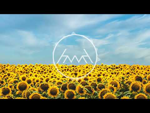 MARION - Sunflowers